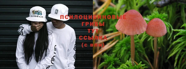 прущие крисы Волоколамск