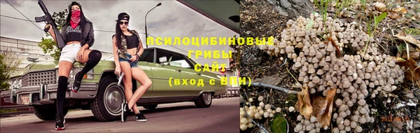 СК Володарск