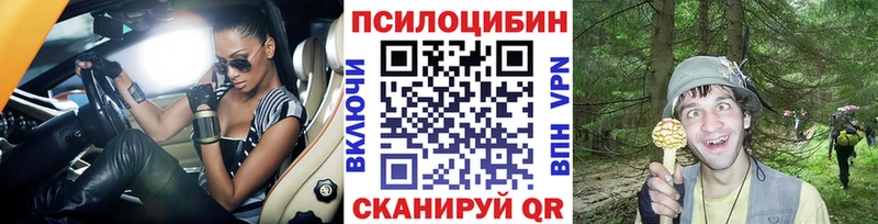 Купить  Старая Купавна  Галлюциногенные грибы мицелий 